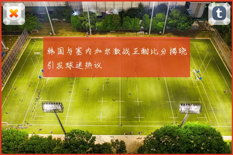 韩国与塞内加尔激战正酣比分揭晓引发球迷热议