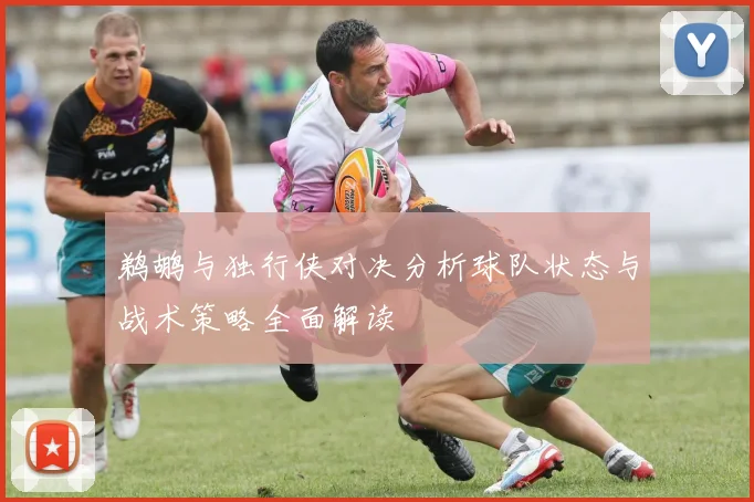 鹈鹕与独行侠对决分析球队状态与战术策略全面解读